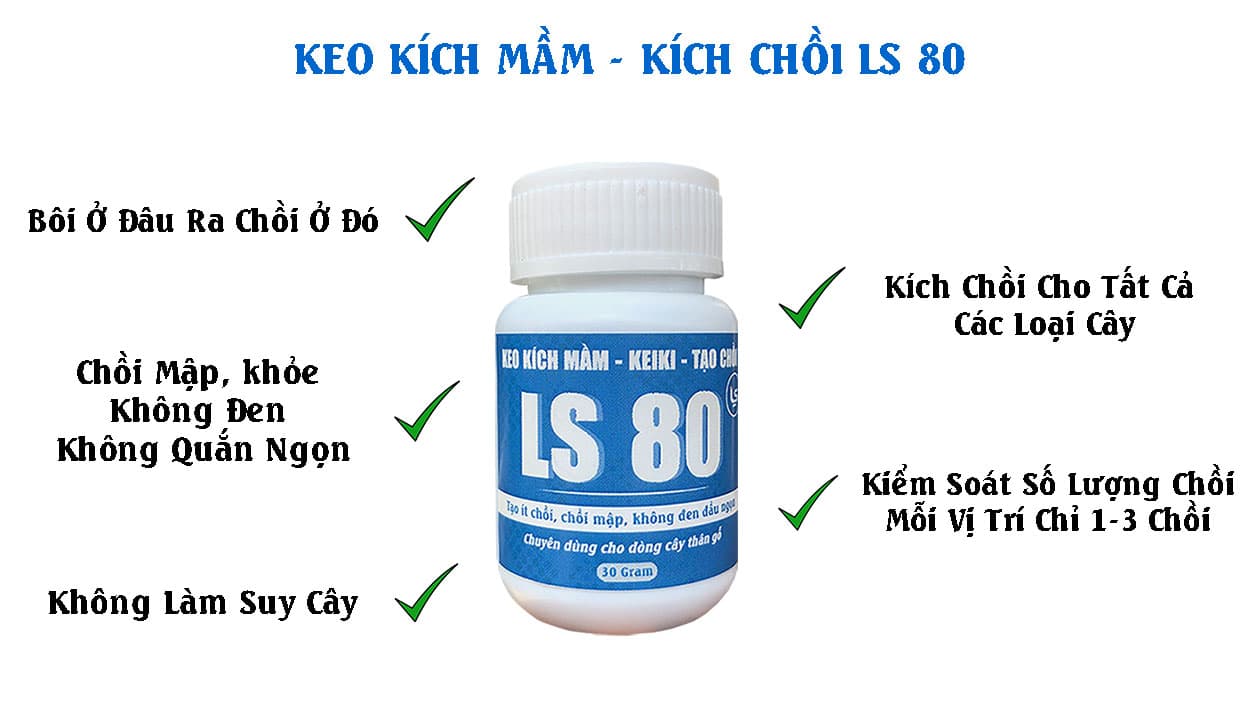 đặc điểm của keo kích mầm ls80